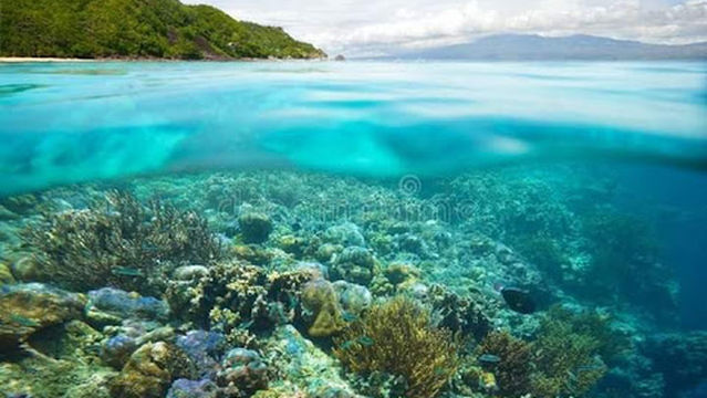 (Rolly)Coron private boat island hopping tour services