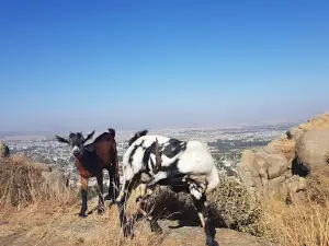 ጮምዓ መስቀል / ch’omi’ā Mekele Meskel Square