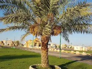 Al Shabab Park