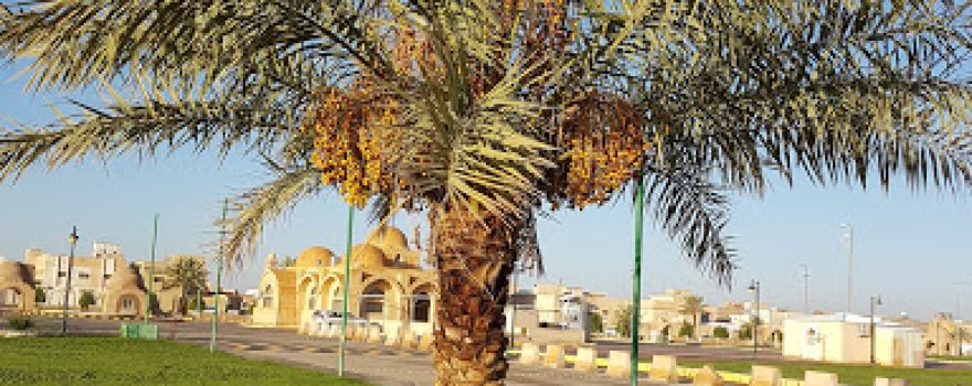 Al Shabab Park