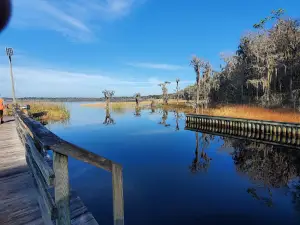 Olustee Beach