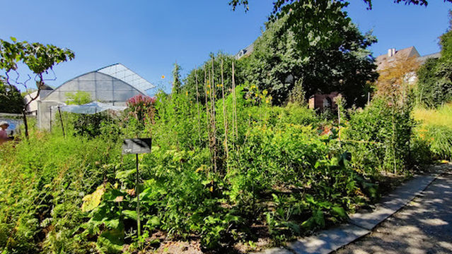 University of Basel Botanical Garden