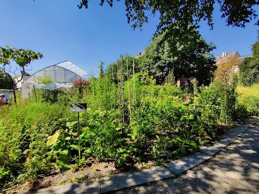 University of Basel Botanical Garden