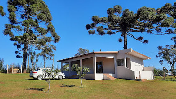 Palmas