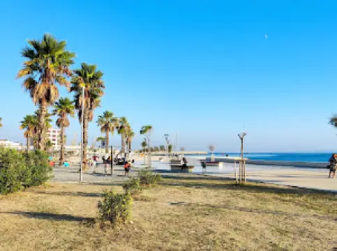 Shëtitorja "Vollga"