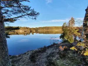 Kasebo Kynnefjälls naturreservat
