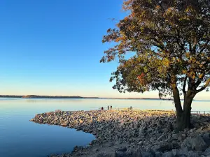 Carlyle Lake Dam West Campground