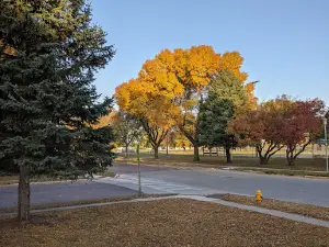 Barstow Park