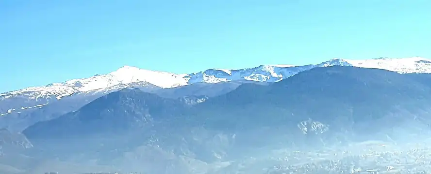 鄰近科學公園的酒店