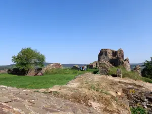 Burg Lichtenburg