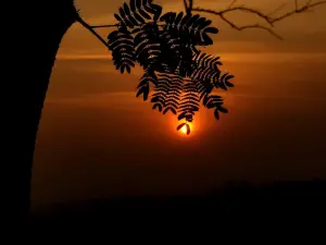 Appu Ghar