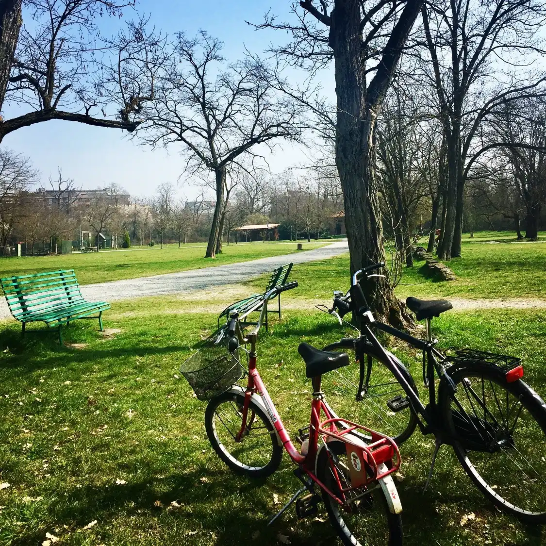 Hotels near Parco Galleana