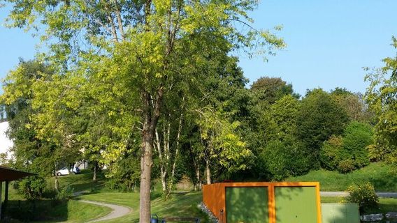 Aulendorf