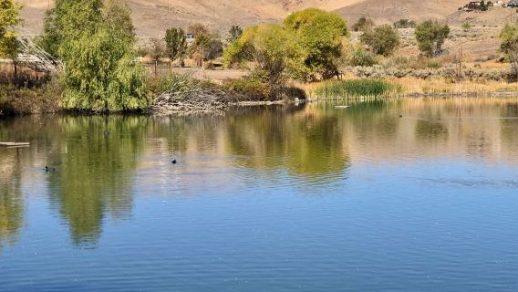 Rancho San Rafael Regional Park