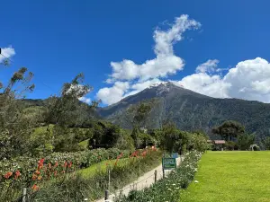 La Casa del Arbol