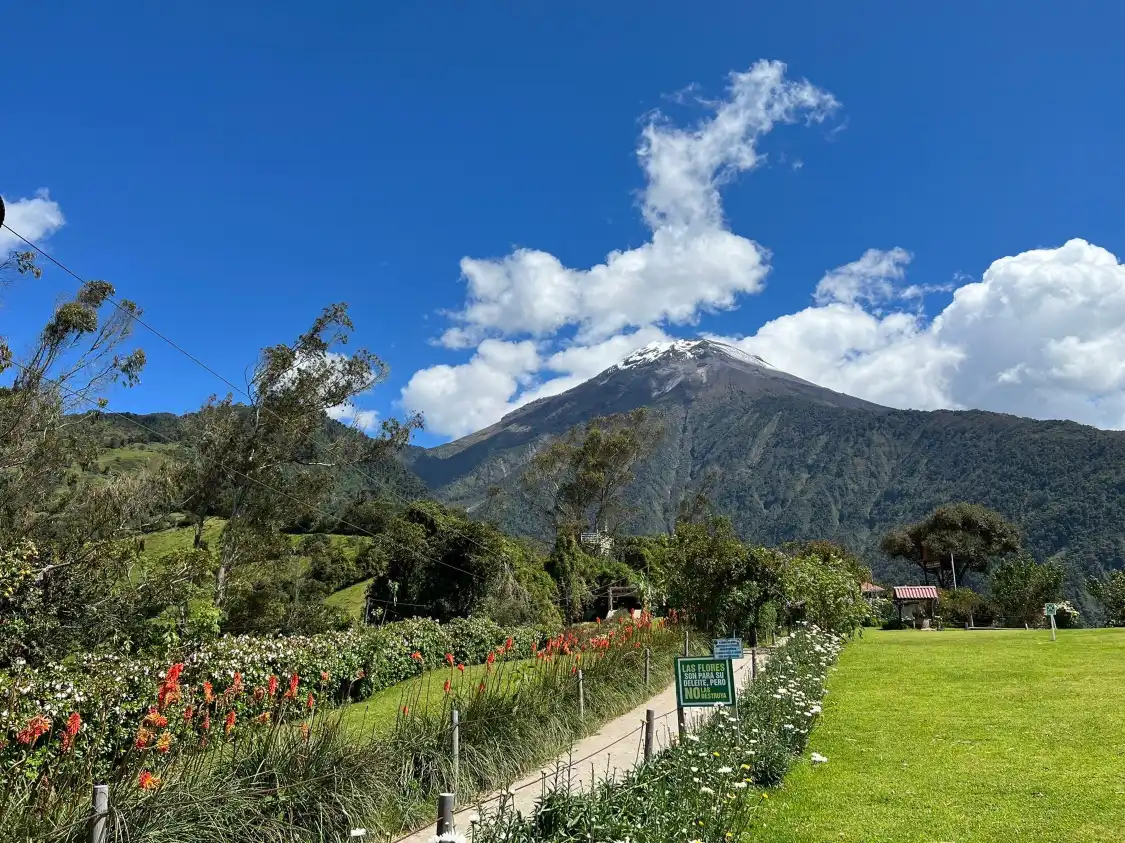 Hotels near La Casa del Arbol