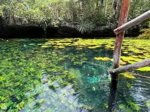 Cenote Nic Te Ha