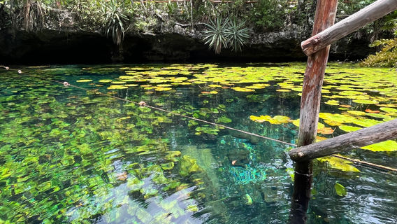 Cenote Nic Te Ha