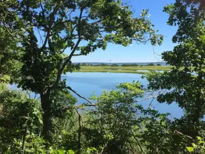 Mashomack Preserve