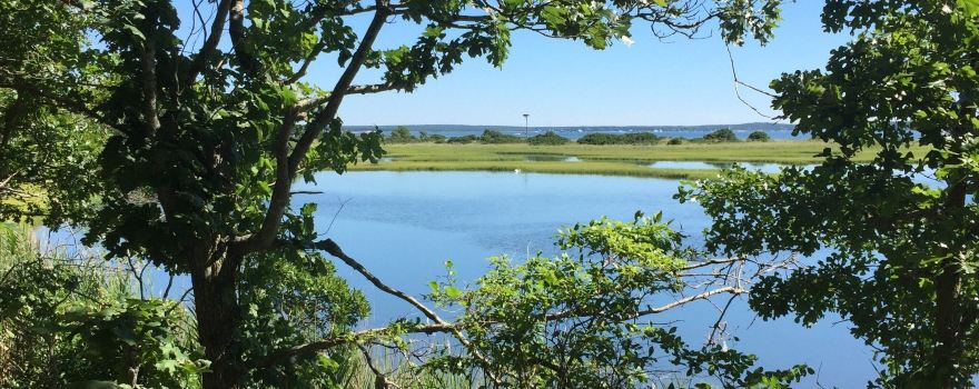 Shelter Island