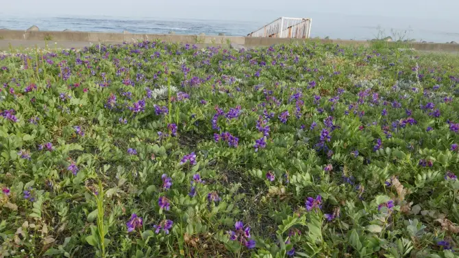 5_虎杖浜溫泉