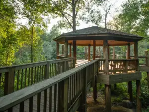 Sylvan Heights Bird Park