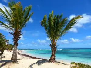Plage des Raisins Clairs