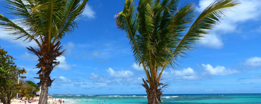 Plage des Raisins Clairs