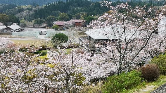 Maruoka Park