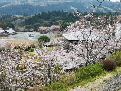 Maruoka Park