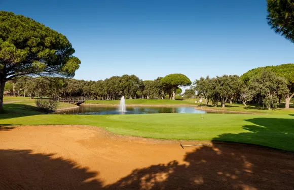 諾沃桑克蒂佩特里