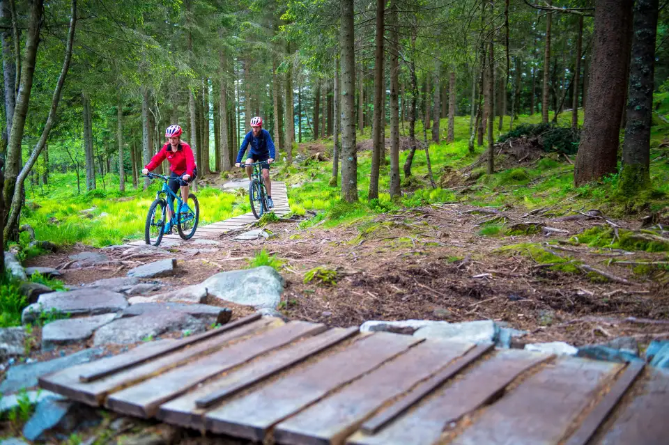 3_Fløyfjellet