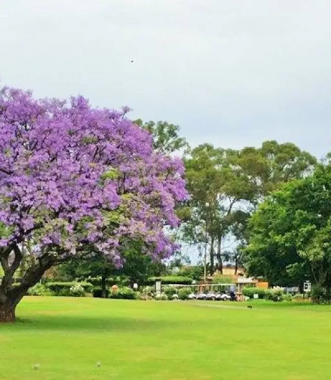 Kempton Park