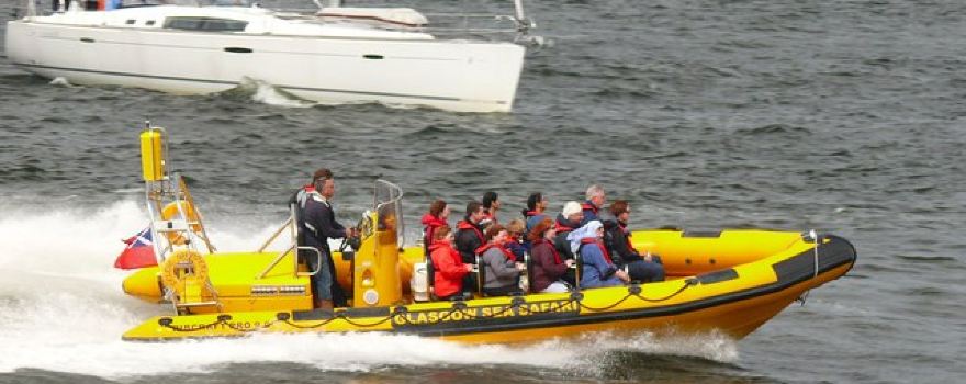 Glasgow Sea Safari