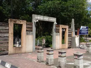 City Mangrove Park