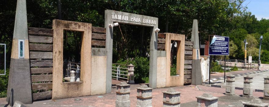 City Mangrove Park