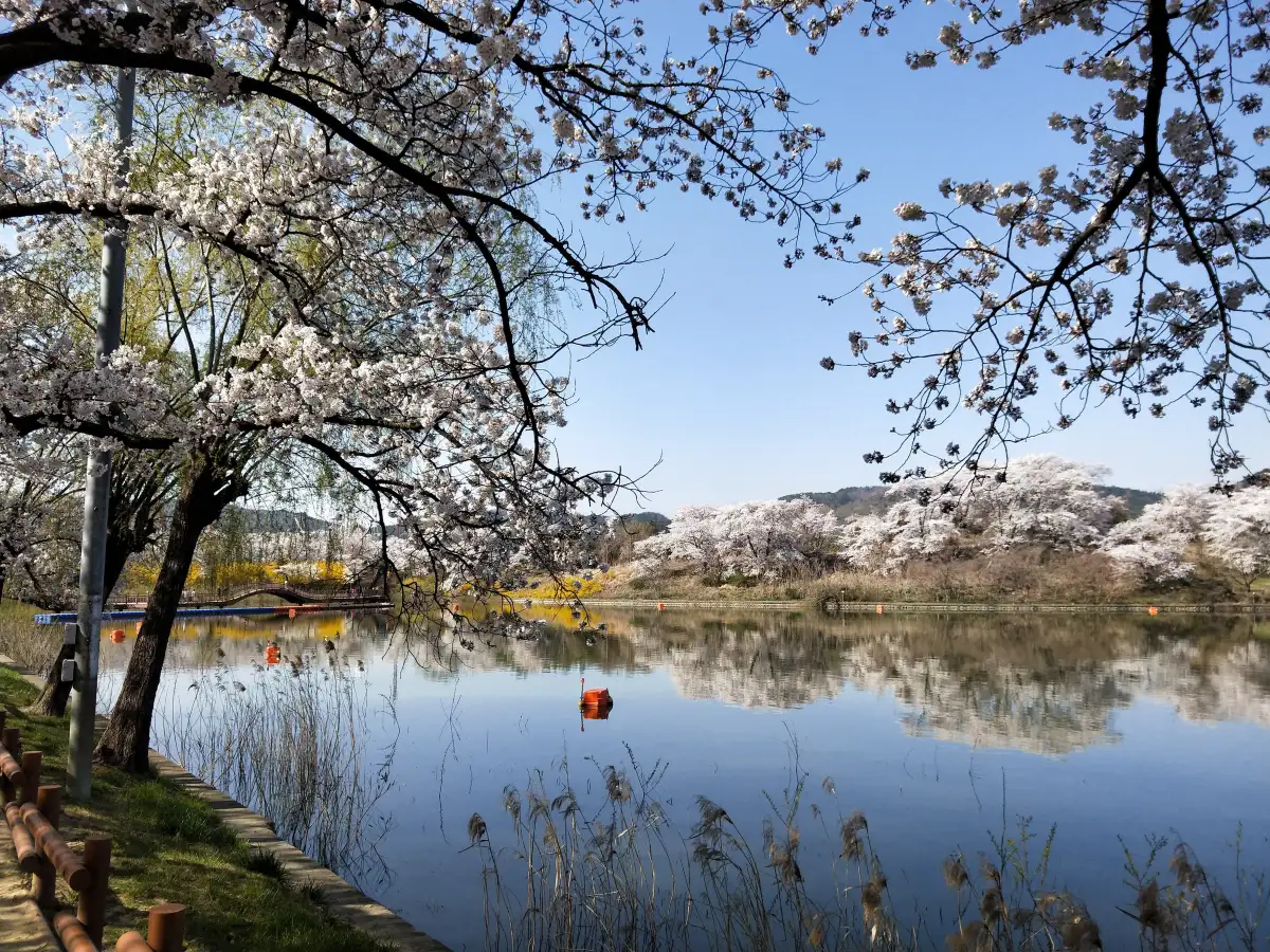 Bomunho Lake