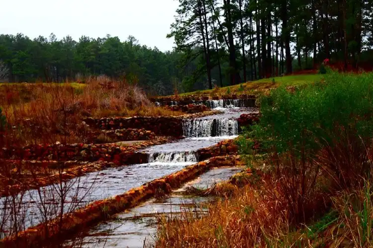 Angelina County