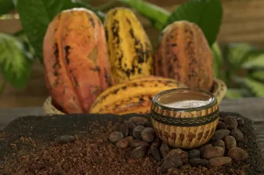 Reserva biológica Tirimbina
