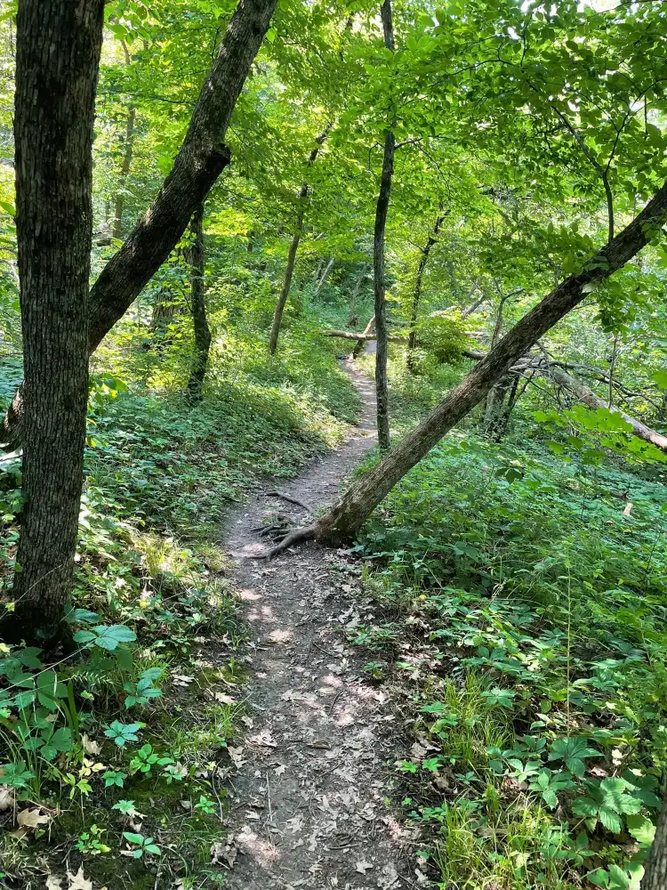 فنادق في Waterville Township