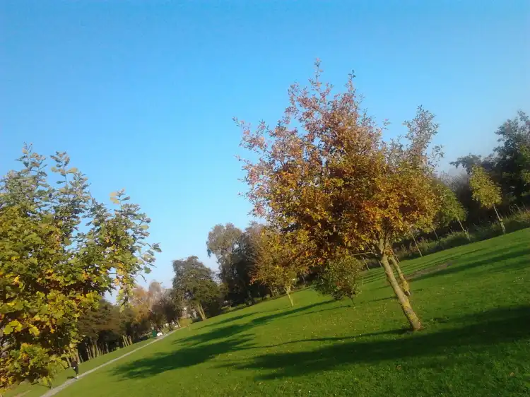 Hotels near Newtownforbes Playground