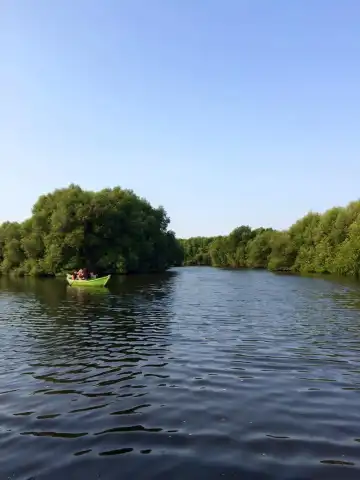 Hotels near Mangrove Forest