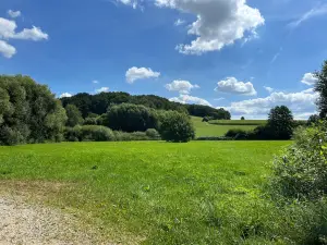 Wildgarten
