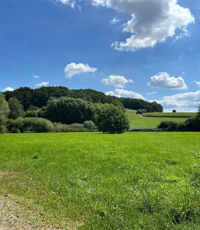 Furth im Wald