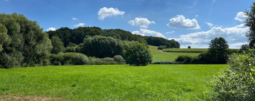Wildgarten