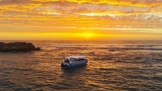 Kalbarri Wilderness Cruises
