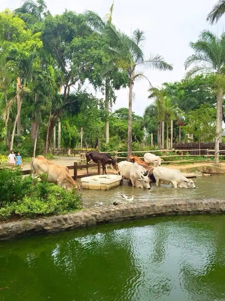 Hotels near Fun Farm at Sta. Elena