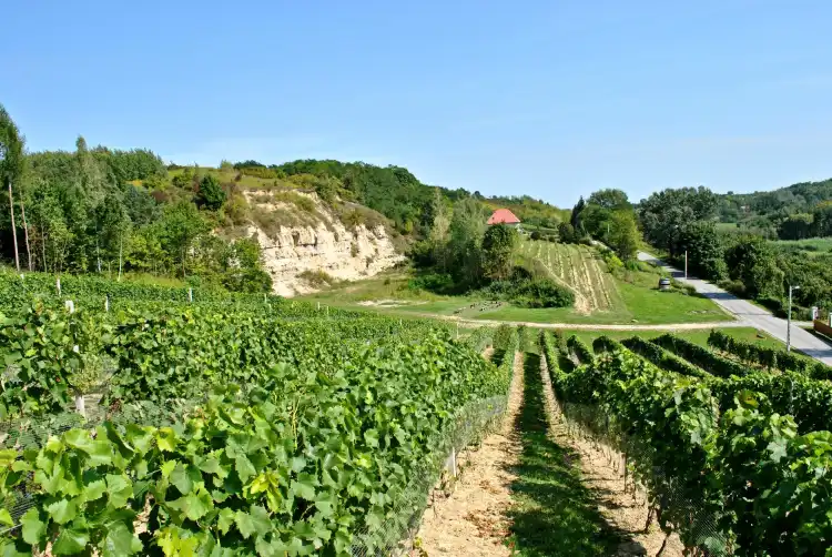 Hotels in Sandomierz County
