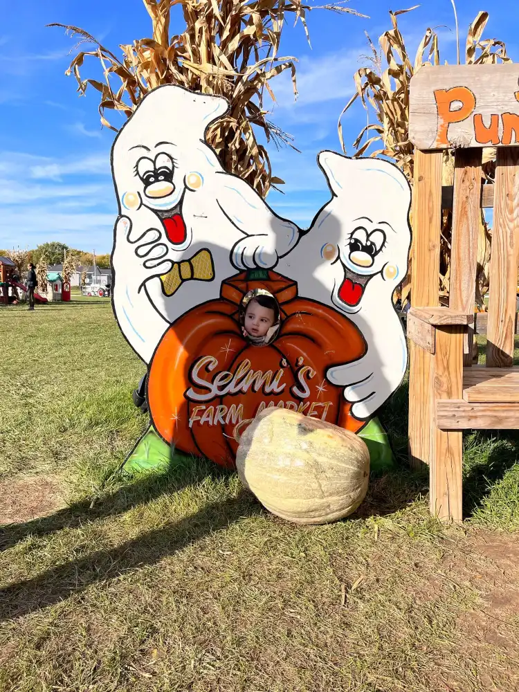 Hotels in Coloma Township