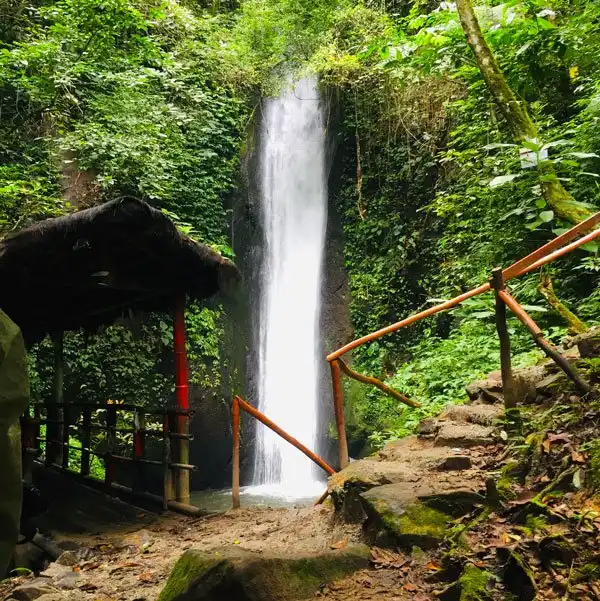 Hotels near Kerinci Seblat National Park